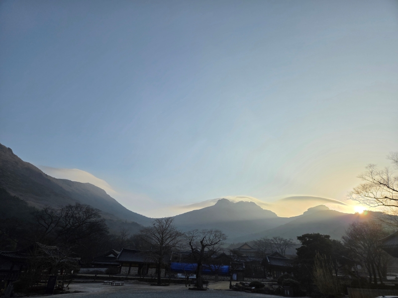 KakaoTalk_20260121_154707532.jpg 이미지