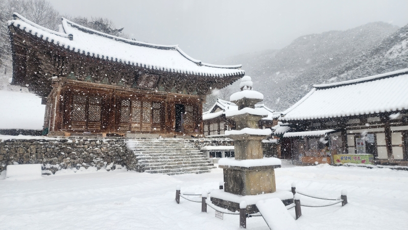 KakaoTalk_20260122_085946092_02.jpg 이미지