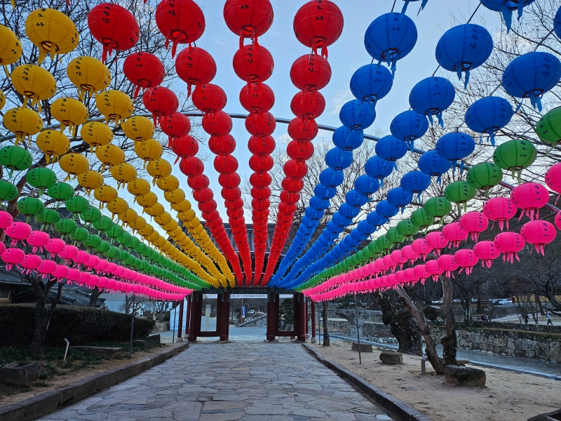 KakaoTalk_20260110_105106859_02.jpg 이미지