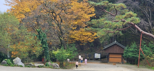 모녀템플 수목원산책-1.jpg 이미지