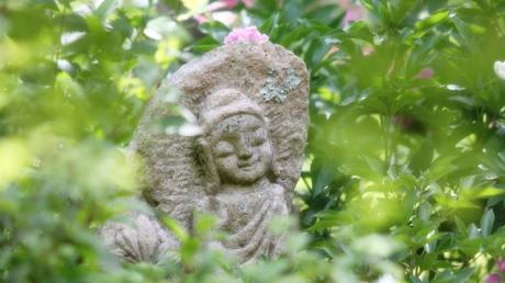 image01.jpg 이미지