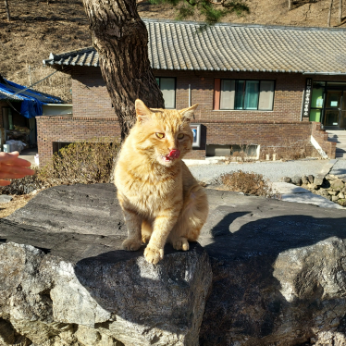 KakaoTalk_20260313_170223985.png 이미지